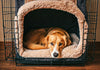 How to Enhance Your Pet's Comfort with a High Anxiety Dog Crate in Nevada