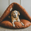 The Benefits of Investing in a Luxury Dog Bed for Your Pet's Health and Happiness
