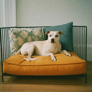 9 Custom Dog Bed Designs That Your Pet Will Absolutely Love