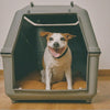 The Ultimate Guide to Choosing the Right Vari Kennel for Your Pet in Nevada