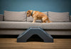 7 Tips for Training Your Pet to Use Pet Steps Safely and Efficiently