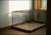 The Top 10 Large Dog Crate Dimensions for Comfortable Pet Housing in Nevada