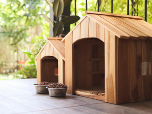 What's the Best Insulated Dog House for Your Furry Friend?