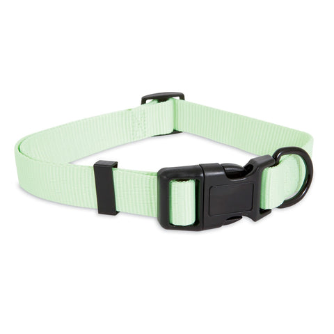 Aspen Pet Glow In The Dark Adjustable Collar