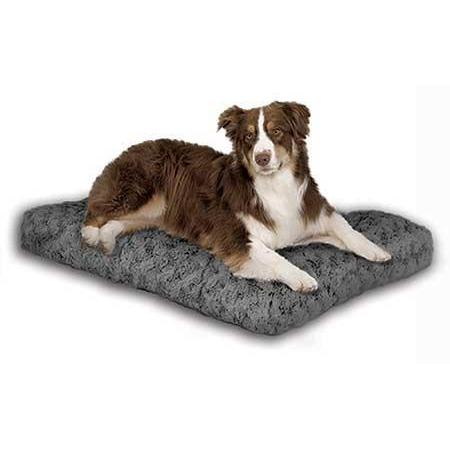 Quiet time dog bed best sale